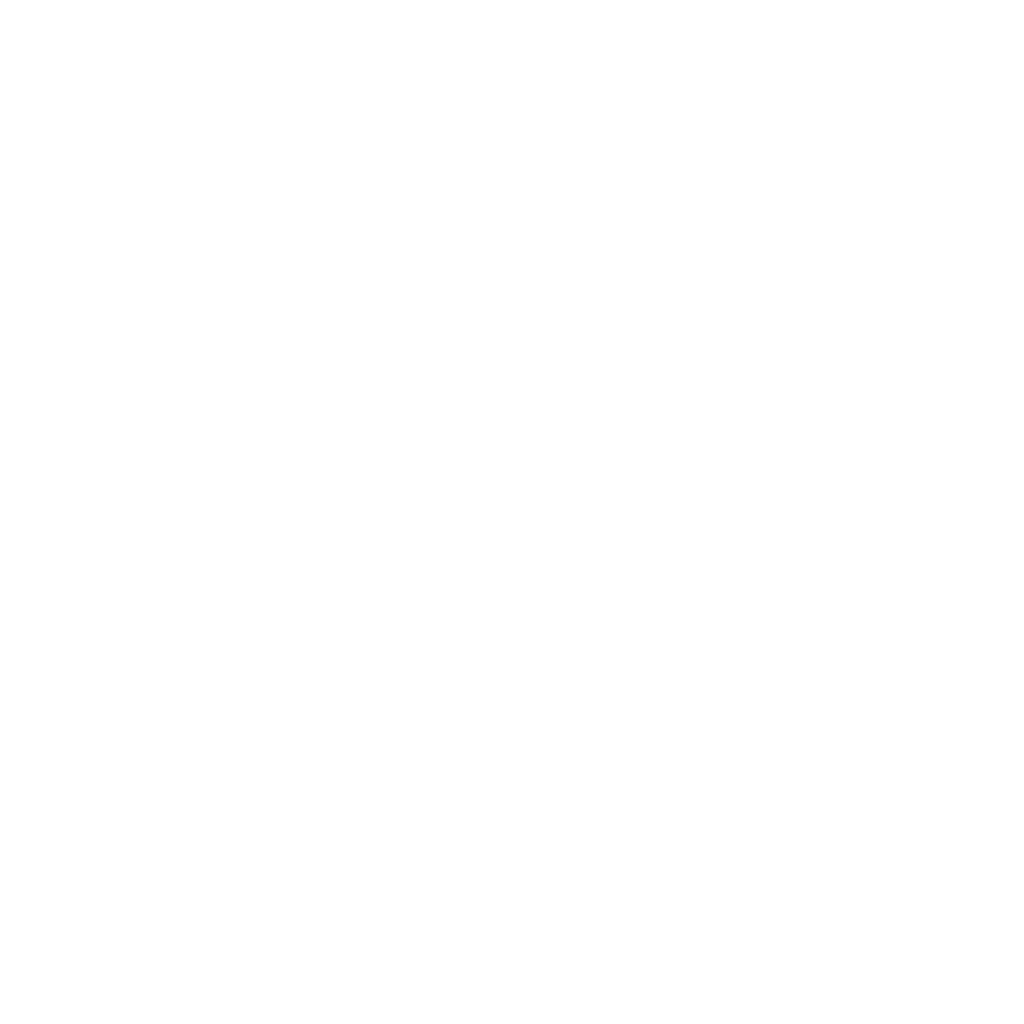 LOGO FECURITY